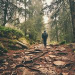 traveler-in-the-mountains
